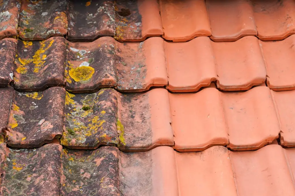 Comparison roof top before and after cleaning moss lichen high p - Packard Power Washing roof moss removal