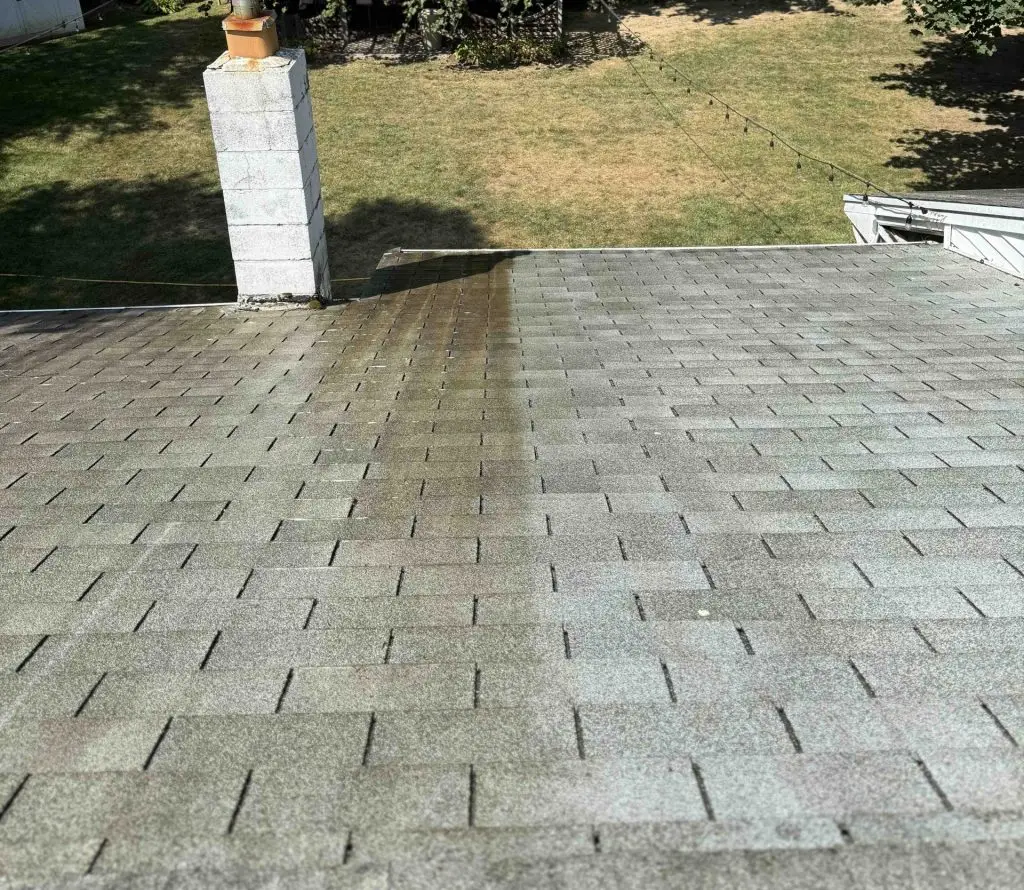 roofclean - Packard Power Washing roofs and gutter cleaning