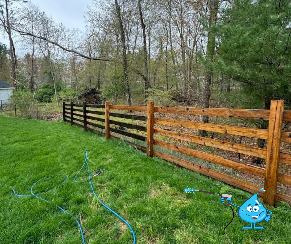 Fence Cleaning Carver, MA